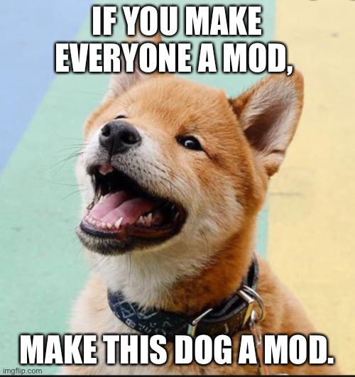 Tofu Chan | IF YOU MAKE EVERYONE A MOD, MAKE THIS DOG A MOD. | image tagged in tofu chan | made w/ Imgflip meme maker