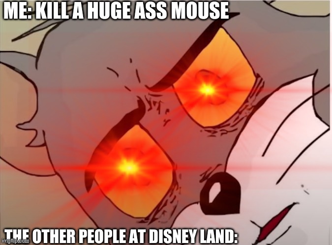 NANI | ME: KILL A HUGE ASS MOUSE; THE OTHER PEOPLE AT DISNEY LAND: | image tagged in jerry | made w/ Imgflip meme maker