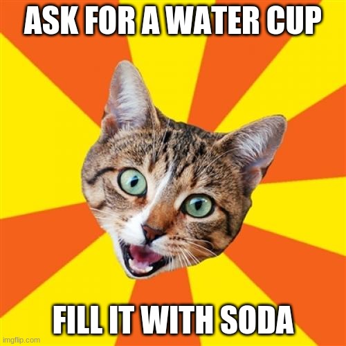 Bad Advice Cat Meme | ASK FOR A WATER CUP; FILL IT WITH SODA | image tagged in memes,bad advice cat | made w/ Imgflip meme maker