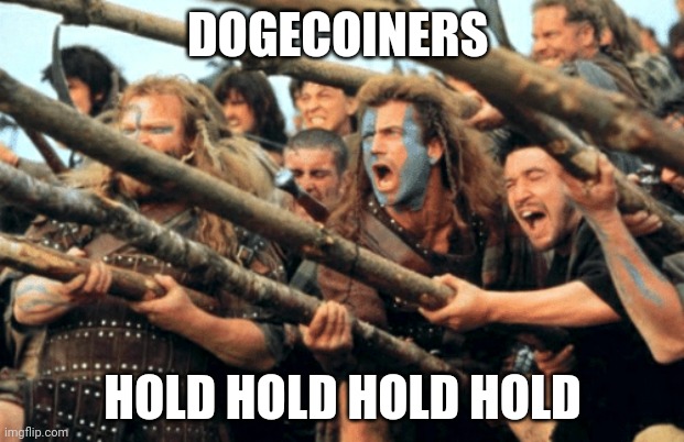 Hold the line | DOGECOINERS; HOLD HOLD HOLD HOLD | image tagged in hold the line | made w/ Imgflip meme maker