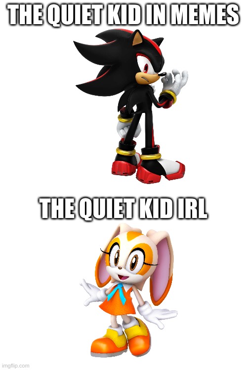 the quiet kid, sonic characters edition | THE QUIET KID IN MEMES; THE QUIET KID IRL | image tagged in blank white template | made w/ Imgflip meme maker