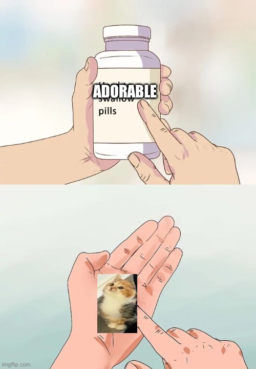 Hard To Swallow Pills | ADORABLE | image tagged in memes,hard to swallow pills | made w/ Imgflip meme maker