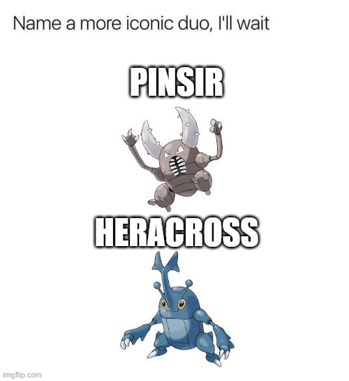 Name a more iconic duo, I'll wait | PINSIR; HERACROSS | image tagged in name a more iconic duo i'll wait | made w/ Imgflip meme maker