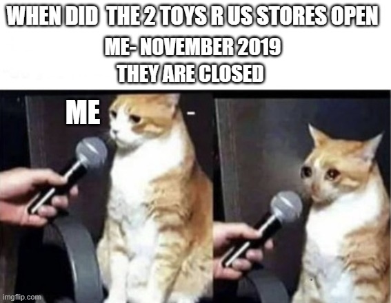 Crying Cat Interview Horizontal | WHEN DID  THE 2 TOYS R US STORES OPEN; ME- NOVEMBER 2019; THEY ARE CLOSED; ME | image tagged in crying cat interview horizontal | made w/ Imgflip meme maker