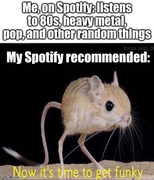 what do I put for a title | Me, on Spotify: listens to 80s, heavy metal, pop, and other random things; My Spotify recommended: | image tagged in now its time to get funky,music | made w/ Imgflip meme maker