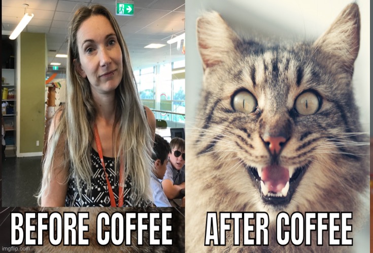Coffee | image tagged in memes | made w/ Imgflip meme maker