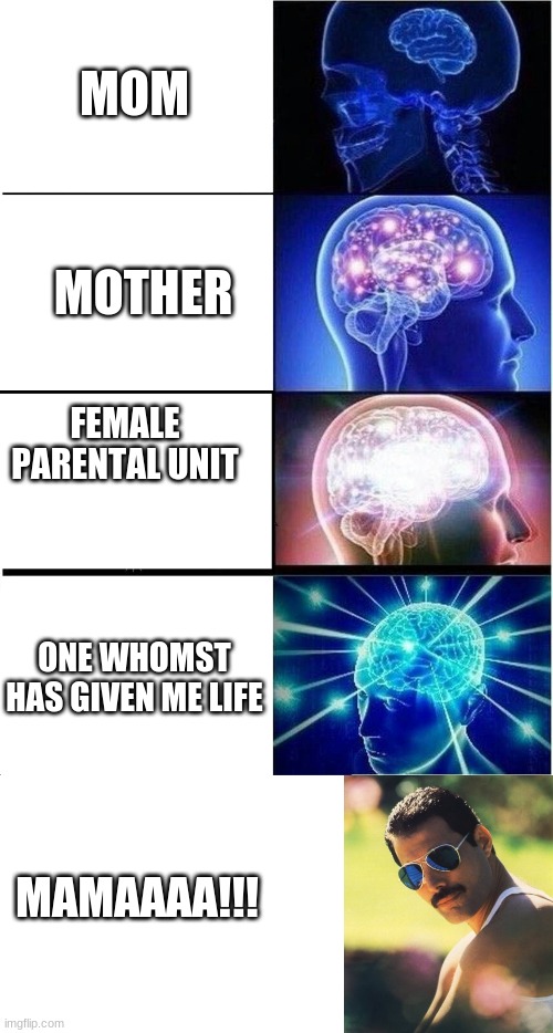 mom | MOM; MOTHER; FEMALE PARENTAL UNIT; ONE WHOMST HAS GIVEN ME LIFE; MAMAAAA!!! | image tagged in memes,expanding brain,blank white template,freddie mercury mr bad guy | made w/ Imgflip meme maker