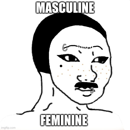 NON BIANRY | MASCULINE; FEMININE | image tagged in oh no | made w/ Imgflip meme maker
