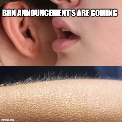 Whisper and Goosebumps |  BRN ANNOUNCEMENT'S ARE COMING | image tagged in whisper and goosebumps | made w/ Imgflip meme maker