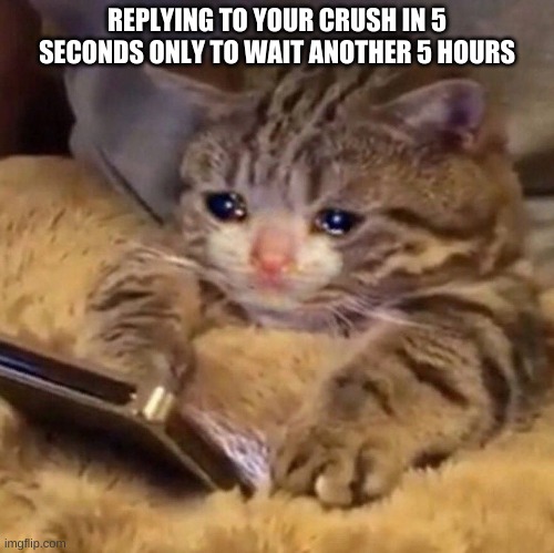 REPLYING TO YOUR CRUSH IN 5 SECONDS ONLY TO WAIT ANOTHER 5 HOURS | image tagged in crying cat | made w/ Imgflip meme maker