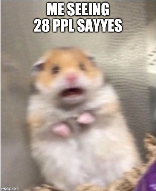 WHY DO YOU WANNA SEE MY FACE YOU'RE NOT MISSING OUT ON ANYTHING | ME SEEING 28 PPL SAYYES | image tagged in scared hamster | made w/ Imgflip meme maker