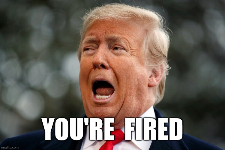 you're fired | YOU'RE  FIRED | image tagged in donald trump | made w/ Imgflip meme maker