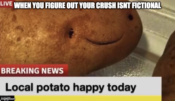 totally random | WHEN YOU FIGURE OUT YOUR CRUSH ISNT FICTIONAL | image tagged in local potato happy today | made w/ Imgflip meme maker