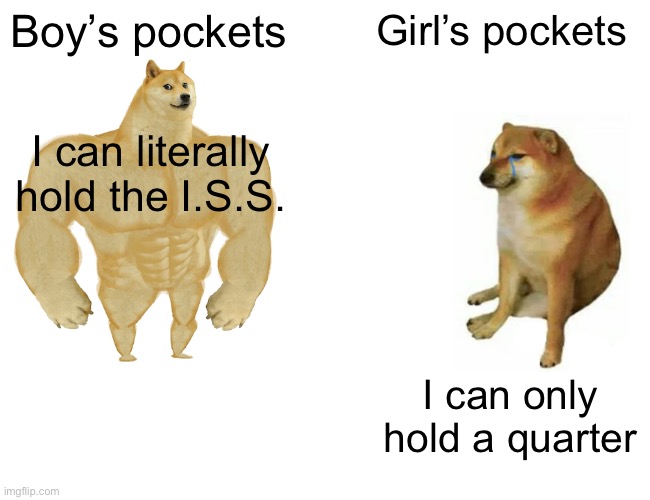 This is a slight exaggeration but it’s for the meme | Boy’s pockets; Girl’s pockets; I can literally hold the I.S.S. I can only hold a quarter | image tagged in memes,buff doge vs cheems | made w/ Imgflip meme maker