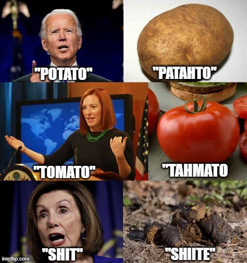 "lets call the whole thing off, please...NO seriously make it stop | "POTATO"; "PATAHTO"; "TAHMATO; "TOMATO"; "SHIITE"; "SHIT" | image tagged in fruits,diapers,double standards,hypocrisy | made w/ Imgflip meme maker