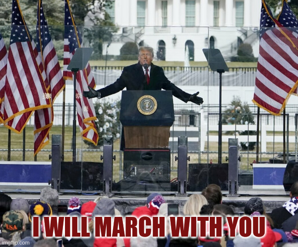 I will march with you | I WILL MARCH WITH YOU | image tagged in donald trump | made w/ Imgflip meme maker