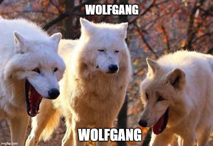 WOLF GANG | WOLFGANG; WOLFGANG | image tagged in laughing wolf | made w/ Imgflip meme maker