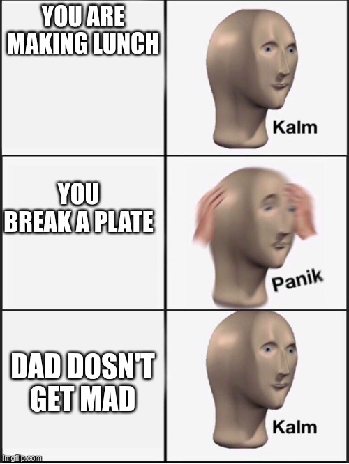 I broke a plate | YOU ARE MAKING LUNCH; YOU BREAK A PLATE; DAD DOSN'T GET MAD | image tagged in kalm panik kalm,dad | made w/ Imgflip meme maker