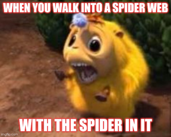 heg | WHEN YOU WALK INTO A SPIDER WEB; WITH THE SPIDER IN IT | image tagged in heg | made w/ Imgflip meme maker