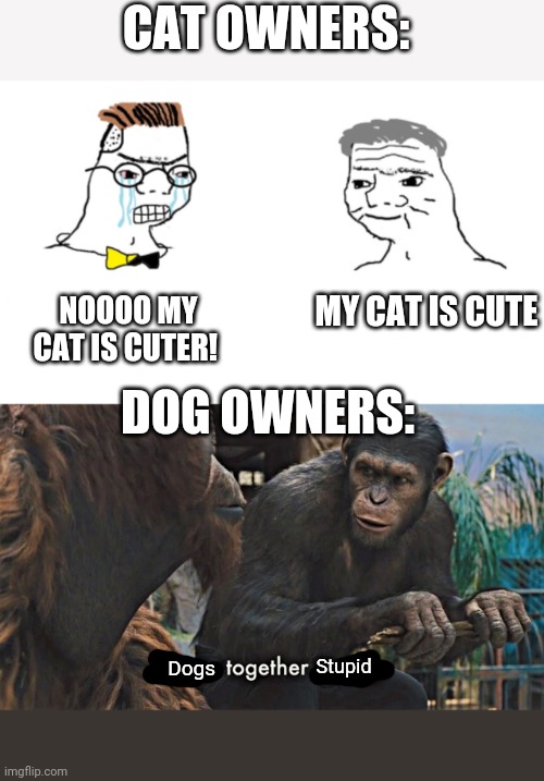 Ryiobderybm | CAT OWNERS:; MY CAT IS CUTE; NOOOO MY CAT IS CUTER! DOG OWNERS:; Dogs; Stupid | image tagged in haha brrr,ape together strong | made w/ Imgflip meme maker