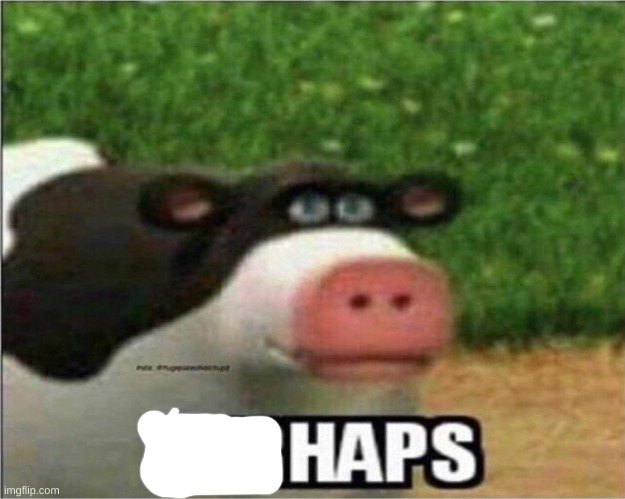 Perhaps Cow | image tagged in perhaps cow | made w/ Imgflip meme maker