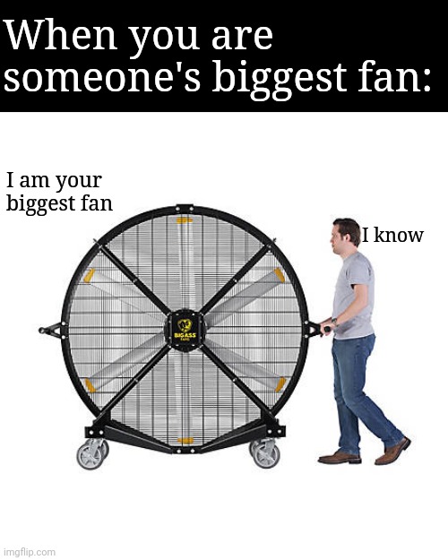 anti-meme | When you are someone's biggest fan:; I am your biggest fan; I know | image tagged in anti meme,facepalm | made w/ Imgflip meme maker