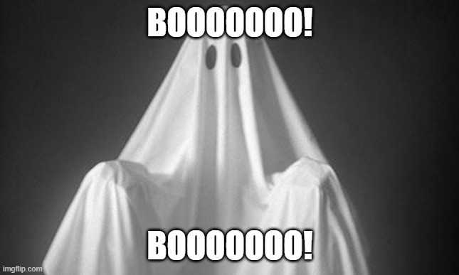 Ghost | BOOOOOOO! BOOOOOOO! | image tagged in ghost | made w/ Imgflip meme maker