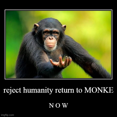 MONKE | image tagged in funny,demotivationals | made w/ Imgflip demotivational maker