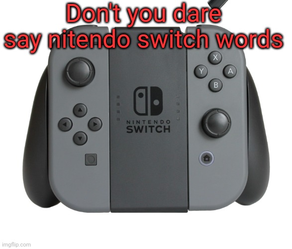 Don't you dare say nitendo switch words | image tagged in nitendo switch joycon | made w/ Imgflip meme maker