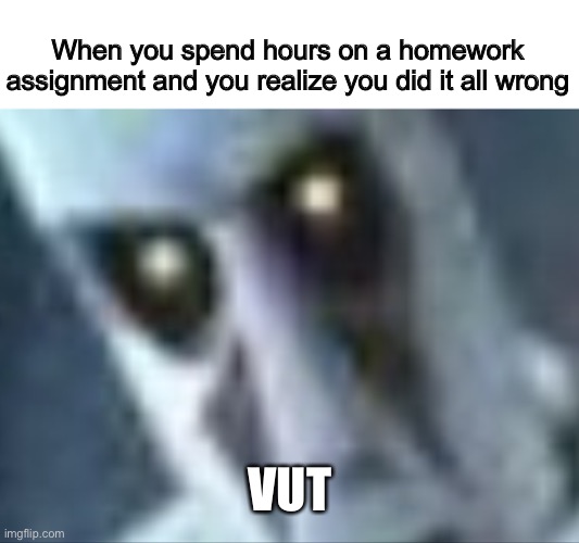 Vut | When you spend hours on a homework assignment and you realize you did it all wrong; VUT | image tagged in homework,wait what | made w/ Imgflip meme maker