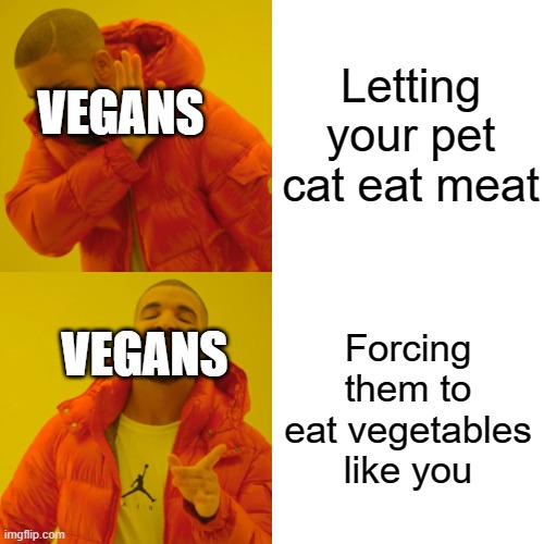 Drake Hotline Bling Meme | Letting your pet cat eat meat; VEGANS; Forcing them to eat vegetables like you; VEGANS | image tagged in memes,drake hotline bling | made w/ Imgflip meme maker