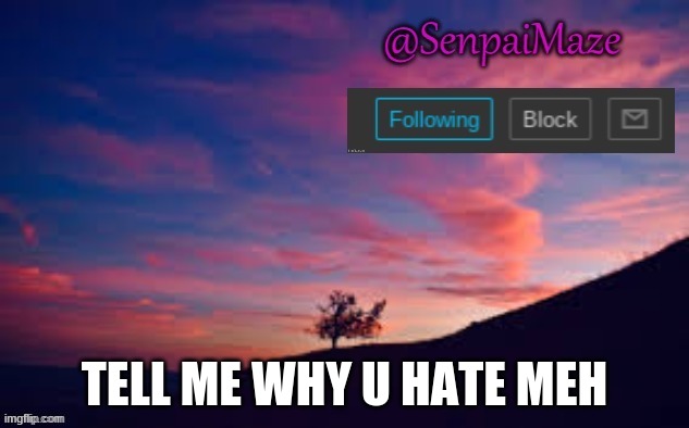 sunset | TELL ME WHY U HATE MEH | image tagged in sunset | made w/ Imgflip meme maker