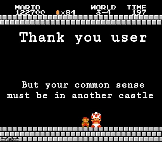 Thank You Mario | Thank you user But your common sense must be in another castle | image tagged in thank you mario | made w/ Imgflip meme maker