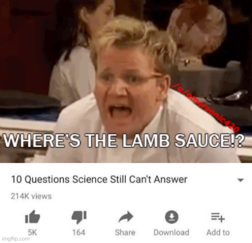 the lamb sauce is still hiding | image tagged in memes,funny,chef gordon ramsay,bruh,lamb sauce,top 10 questions science still can't answer | made w/ Imgflip meme maker