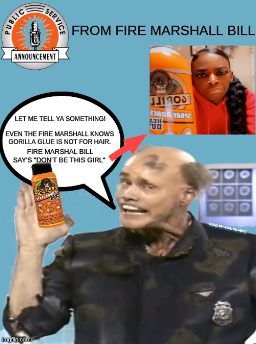 Fire Marshall Bill: Do's and Don't of using Gorilla Glue | MEME BY: PAUL PALMIERI | image tagged in gorilla glue,gorilla glue girl,funny memes,hilarious memes,morons,tessica brown | made w/ Imgflip meme maker