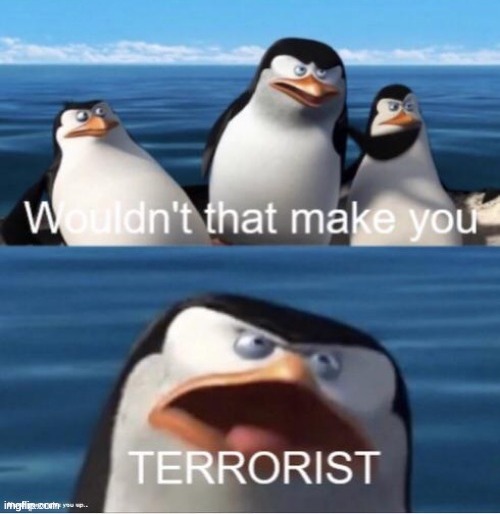 Wouldn't that make you terrorist? | image tagged in wouldn't that make you terrorist | made w/ Imgflip meme maker