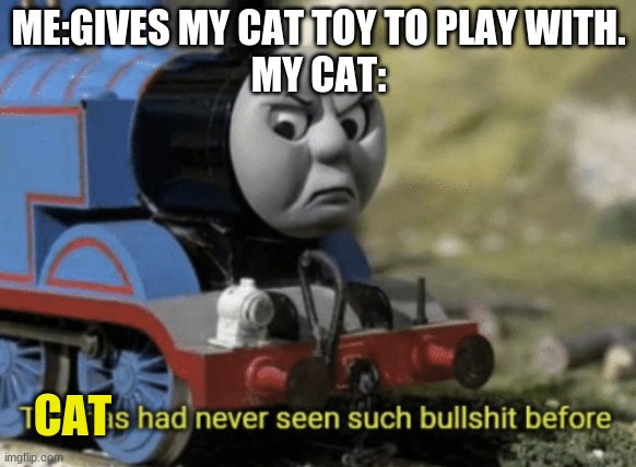 true events | ME:GIVES MY CAT TOY TO PLAY WITH.
MY CAT:; CAT | image tagged in thomas had never seen such bullshit before | made w/ Imgflip meme maker