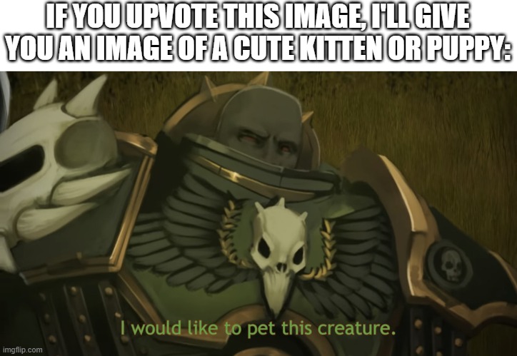 I would like to pet this creature | IF YOU UPVOTE THIS IMAGE, I'LL GIVE YOU AN IMAGE OF A CUTE KITTEN OR PUPPY: | image tagged in i would like to pet this creature | made w/ Imgflip meme maker