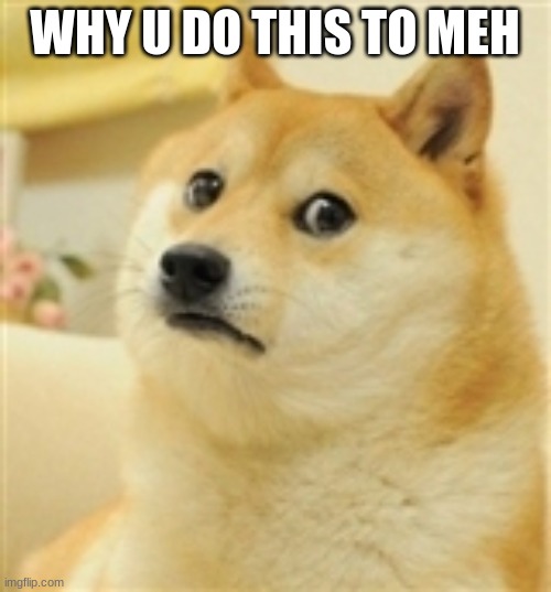 Sad Doge | WHY U DO THIS TO MEH | image tagged in sad doge | made w/ Imgflip meme maker
