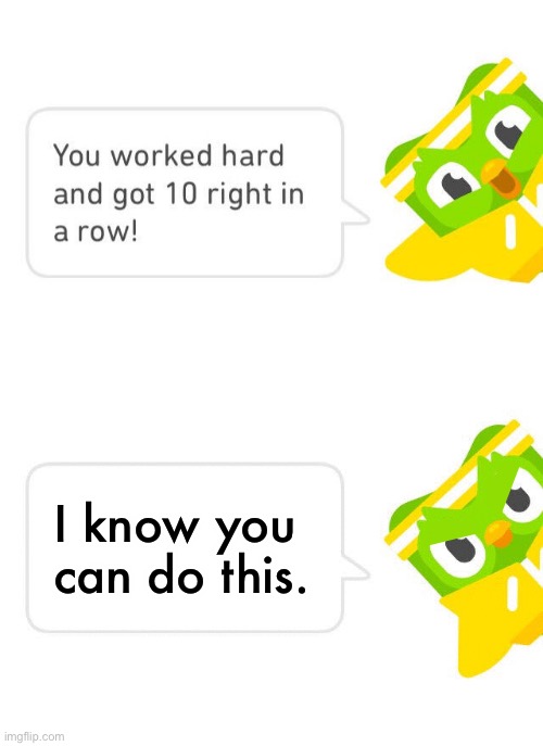 Duolingo 10 in a Row | I know you can do this. | image tagged in duolingo 10 in a row,you can do it | made w/ Imgflip meme maker