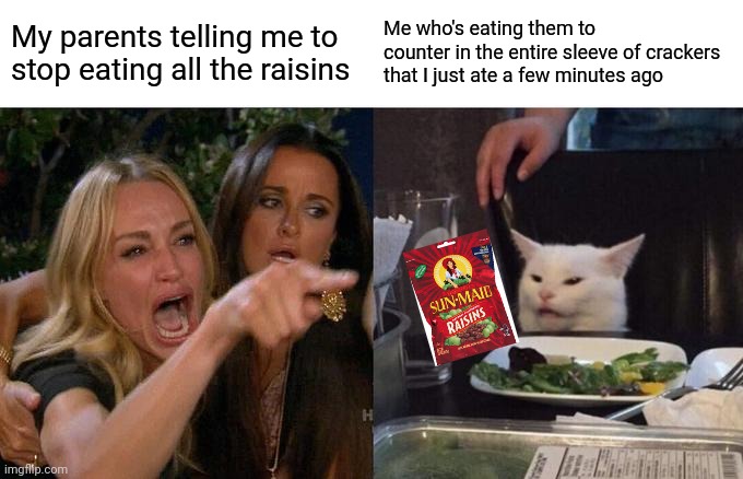 I needed the raisins. | My parents telling me to stop eating all the raisins; Me who's eating them to counter in the entire sleeve of crackers that I just ate a few minutes ago | image tagged in memes,woman yelling at cat | made w/ Imgflip meme maker