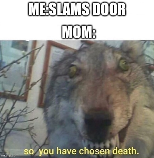 so you have chosen death | MOM:; ME:SLAMS DOOR | image tagged in so you have chosen death | made w/ Imgflip meme maker