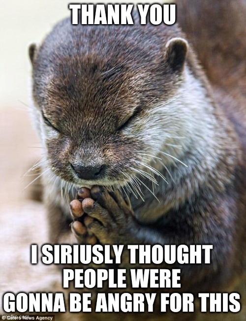 Thank you Lord Otter | THANK YOU I SIRIUSLY THOUGHT PEOPLE WERE GONNA BE ANGRY FOR THIS | image tagged in thank you lord otter | made w/ Imgflip meme maker