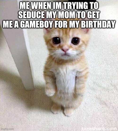 Cute Cat Meme | ME WHEN IM TRYING TO SEDUCE MY MOM TO GET ME A GAMEBOY FOR MY BIRTHDAY | image tagged in memes,cute cat | made w/ Imgflip meme maker