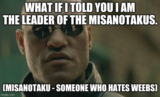 Matrix Morpheus Meme | WHAT IF I TOLD YOU I AM THE LEADER OF THE MISANOTAKUS. (MISANOTAKU - SOMEONE WHO HATES WEEBS) | image tagged in memes,matrix morpheus | made w/ Imgflip meme maker