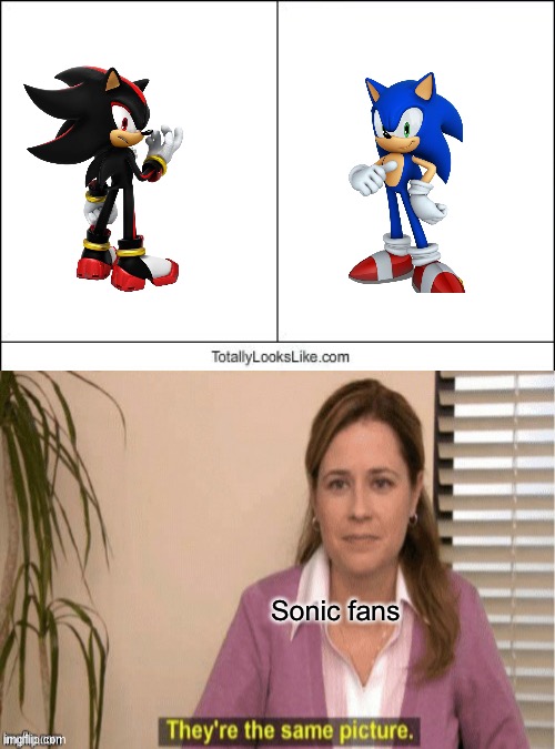 Yes yes go ahead kill me | Sonic fans | image tagged in totally looks like | made w/ Imgflip meme maker