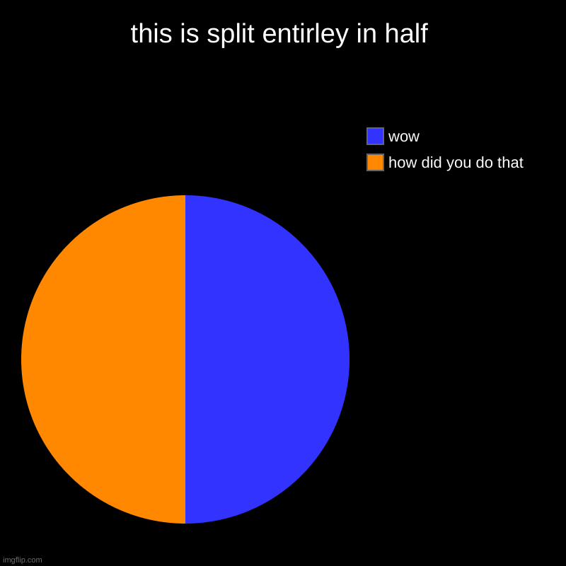 wwwwwwwoooooooooooooooooooooooooowwwwwwwwwww | this is split entirley in half | how did you do that, wow | image tagged in charts,pie charts | made w/ Imgflip chart maker