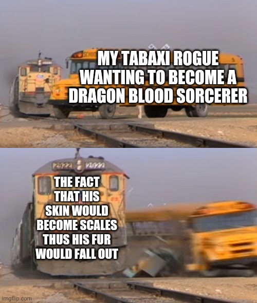 A train hitting a school bus | MY TABAXI ROGUE WANTING TO BECOME A DRAGON BLOOD SORCERER; THE FACT THAT HIS SKIN WOULD BECOME SCALES THUS HIS FUR WOULD FALL OUT | image tagged in a train hitting a school bus,dndmemes | made w/ Imgflip meme maker