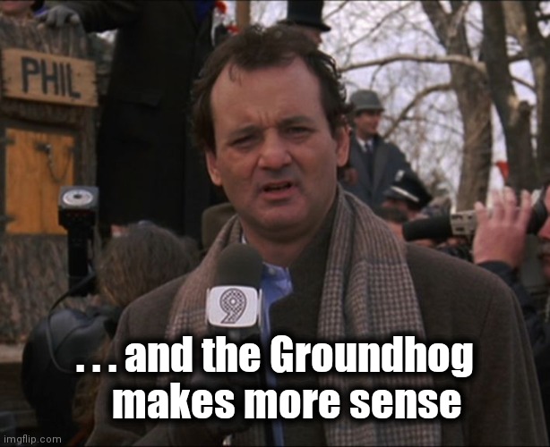 Bill Murray Groundhog Day | . . . and the Groundhog
   makes more sense | image tagged in bill murray groundhog day | made w/ Imgflip meme maker