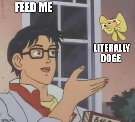Elon scripts doge future | FEED ME; LITERALLY DOGE | image tagged in is this butterfly | made w/ Imgflip meme maker